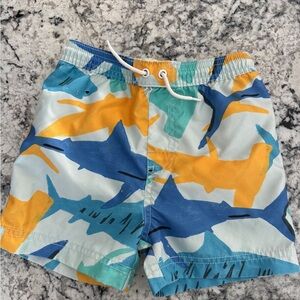 Kids Tea brand Colorful Shark Print swim trunks
